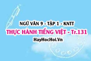 Soạn bài Thực hành tiếng Việt trang 131 lớp 9 tập 1 Kết nối tri thức